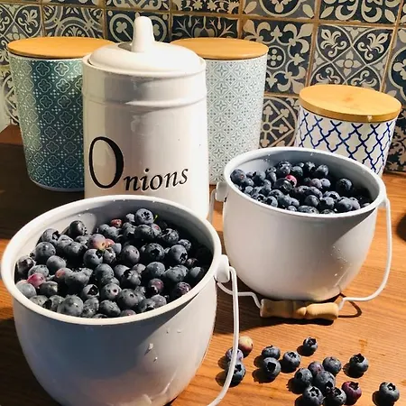 Hébergement de vacances Bohdanecska Bohdaneč