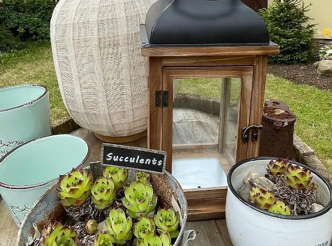 Prázdninový dům Bohdanečská *